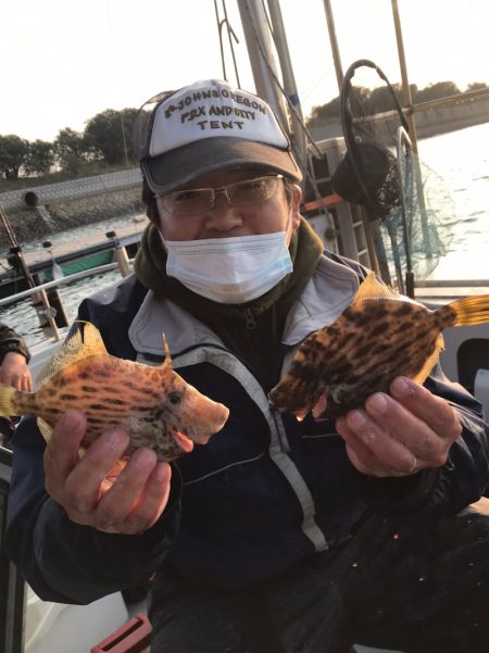 遊漁船メテオ 釣果