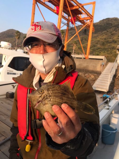 遊漁船メテオ 釣果