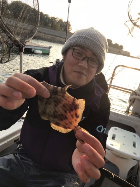 遊漁船メテオ 釣果