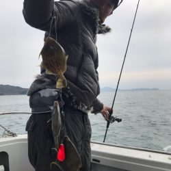 遊漁船メテオ 釣果