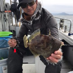 遊漁船メテオ 釣果