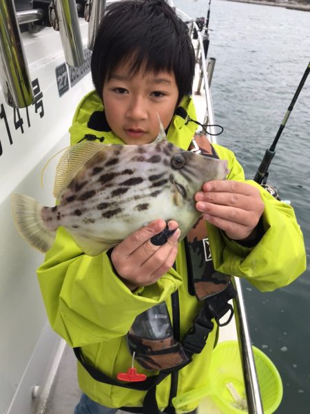 遊漁船メテオ 釣果
