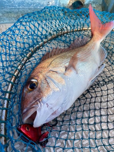龍神丸（鹿児島） 釣果