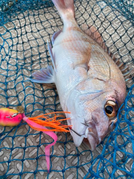 龍神丸(鹿児島) 釣果