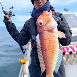 龍神丸(鹿児島) 釣果