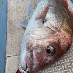 龍神丸(鹿児島) 釣果