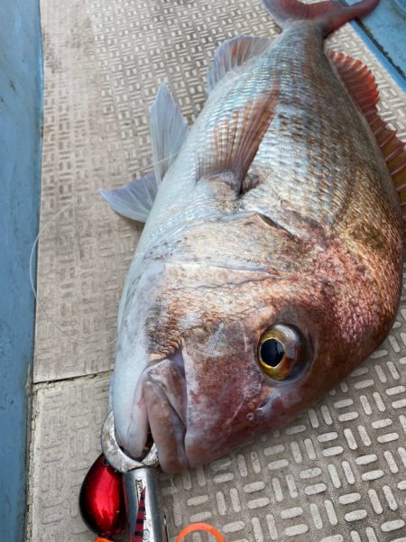 龍神丸(鹿児島) 釣果