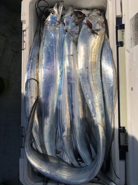 フィッシング　キッタカ 釣果