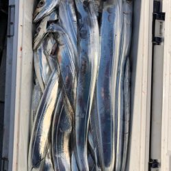 フィッシング　キッタカ 釣果