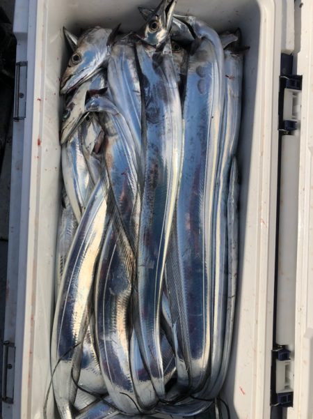 フィッシング　キッタカ 釣果