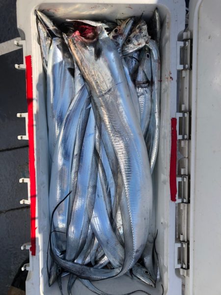 フィッシング　キッタカ 釣果