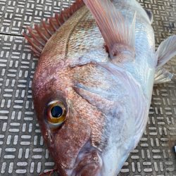 龍神丸（鹿児島） 釣果