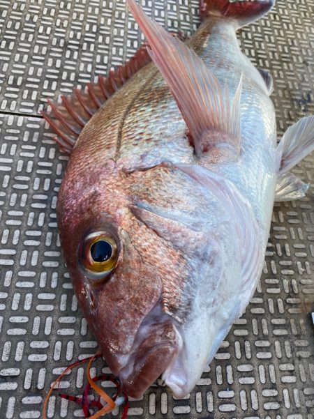 龍神丸（鹿児島） 釣果