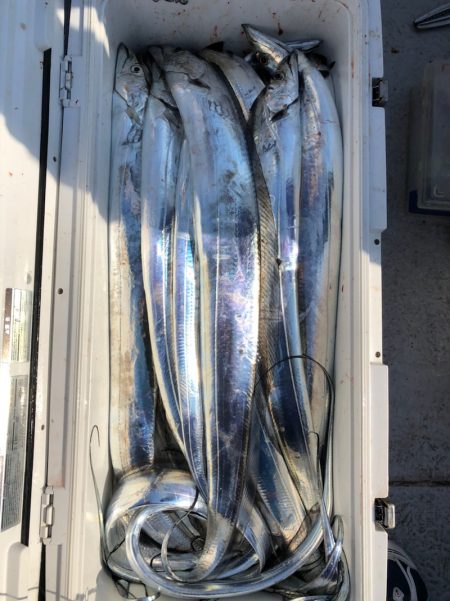 フィッシング　キッタカ 釣果