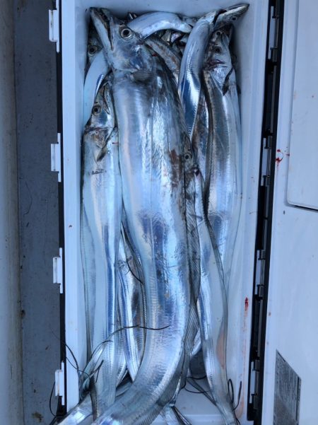 フィッシング　キッタカ 釣果