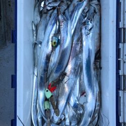 フィッシング　キッタカ 釣果