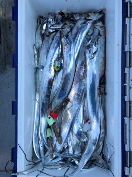 フィッシング　キッタカ 釣果