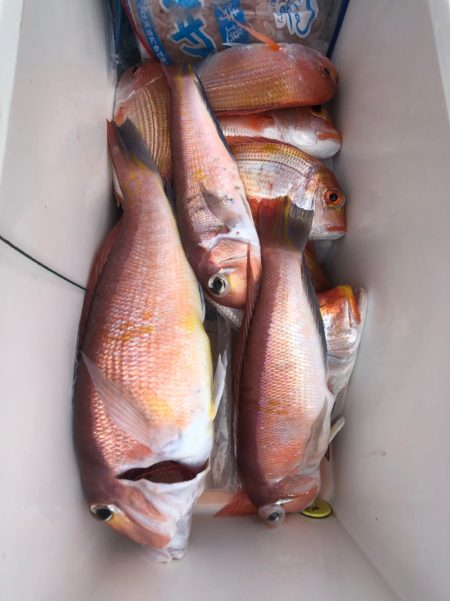 第二八坂丸 釣果