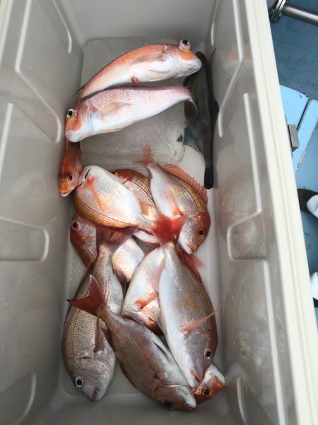 第二八坂丸 釣果