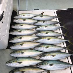 エムズジャーク（M’s JERK） 釣果