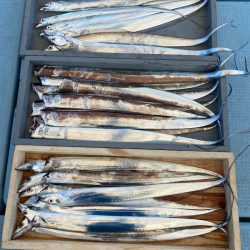 岡田釣船 八英丸 釣果