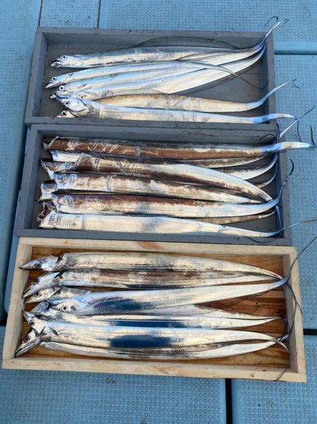 岡田釣船 八英丸 釣果