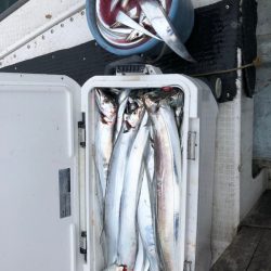 フィッシング　キッタカ 釣果