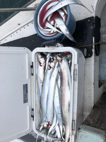 フィッシング　キッタカ 釣果