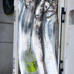 フィッシング　キッタカ 釣果