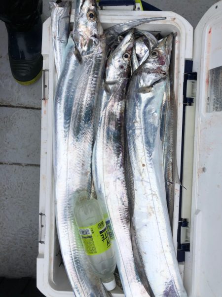 フィッシング　キッタカ 釣果