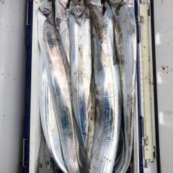 フィッシング　キッタカ 釣果