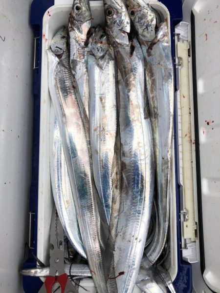 フィッシング　キッタカ 釣果