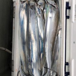 フィッシング　キッタカ 釣果