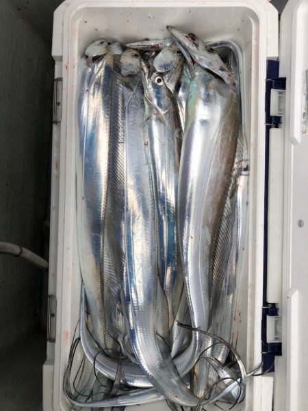 フィッシング　キッタカ 釣果