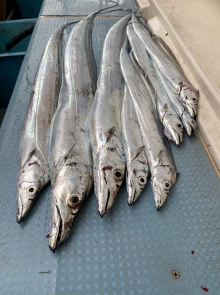 岡田釣船 八英丸 釣果