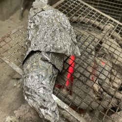 末広丸(熊本) 釣果