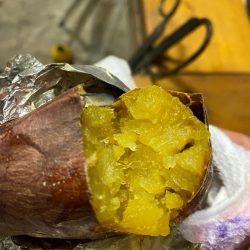 末広丸(熊本) 釣果