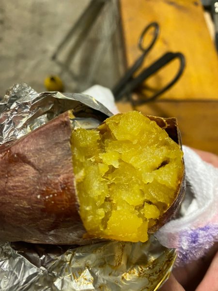 末広丸(熊本) 釣果