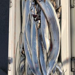 フィッシング キッタカ 釣果