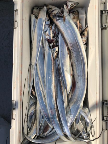 フィッシング キッタカ 釣果