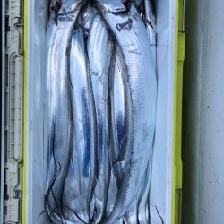 フィッシング キッタカ 釣果