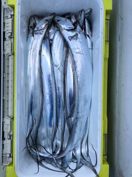 フィッシング キッタカ 釣果