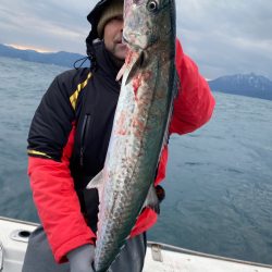 あみや渡船 JIGBOY 釣果