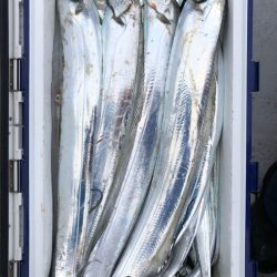 フィッシング キッタカ 釣果