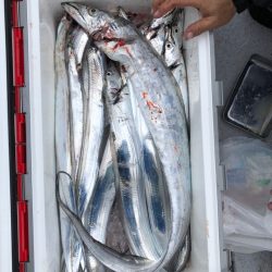 フィッシング キッタカ 釣果