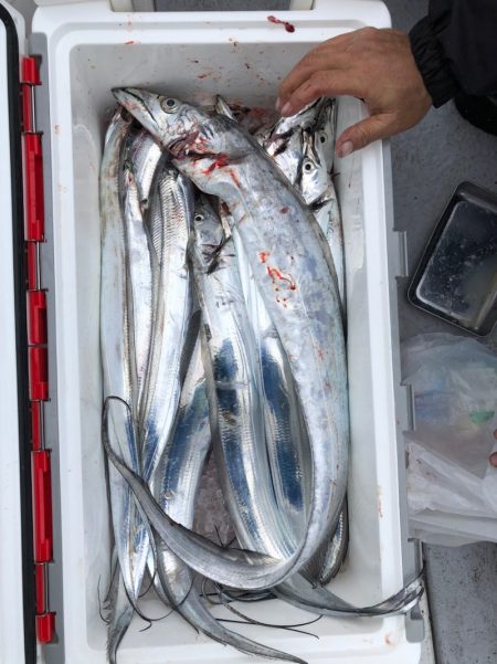 フィッシング キッタカ 釣果