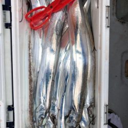 フィッシング キッタカ 釣果