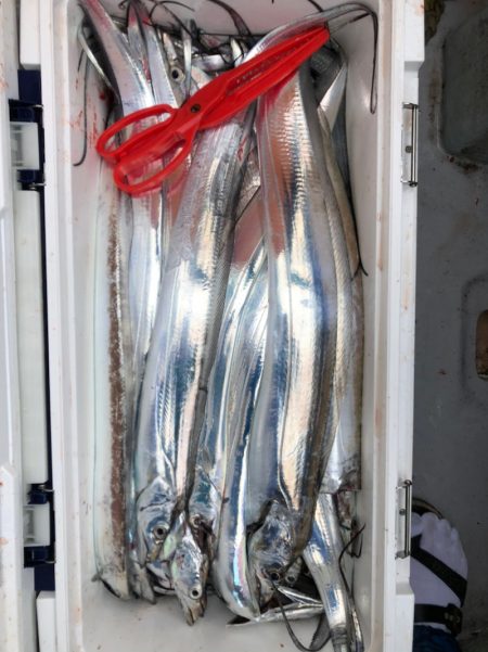 フィッシング キッタカ 釣果