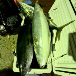 第二八坂丸 釣果