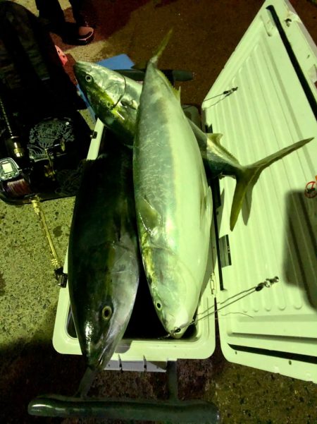 第二八坂丸 釣果